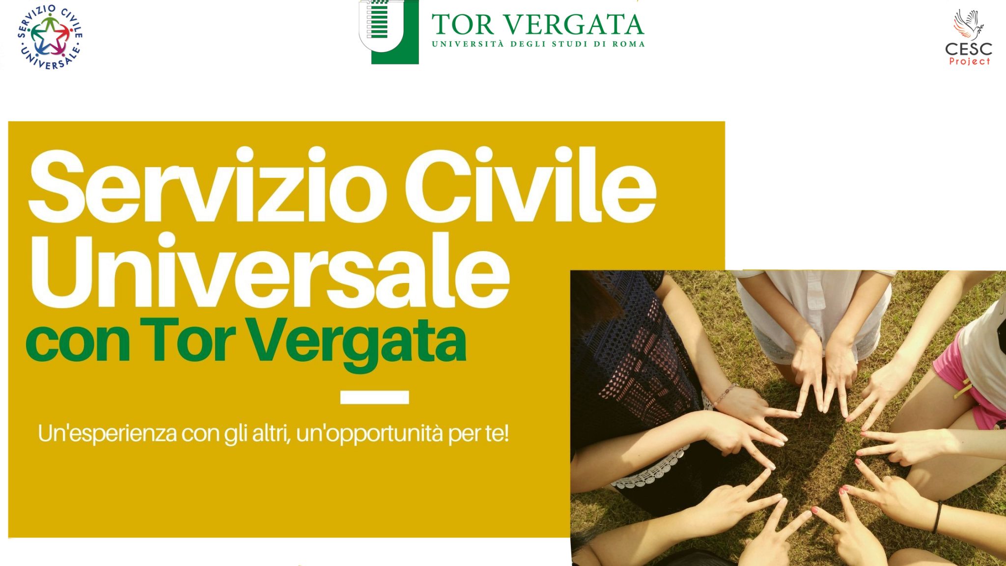 Corsi Di Laurea Triennali Tor Vergata