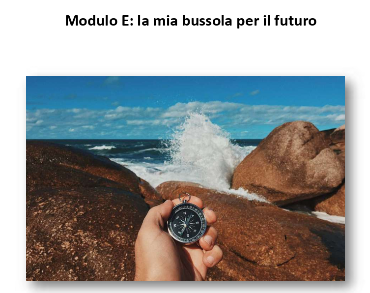 Modulo E