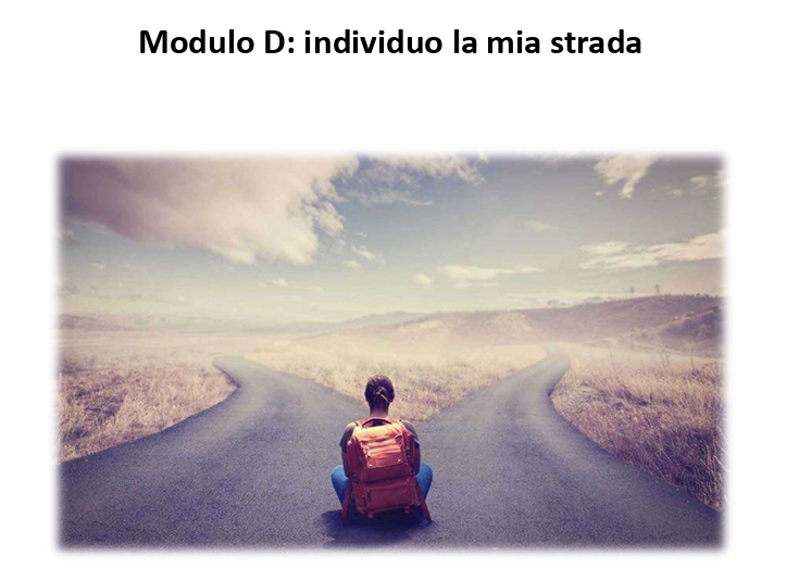 Modulo D